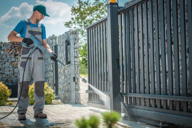 Best Solar Panel Cleaning  in Mexia, TX